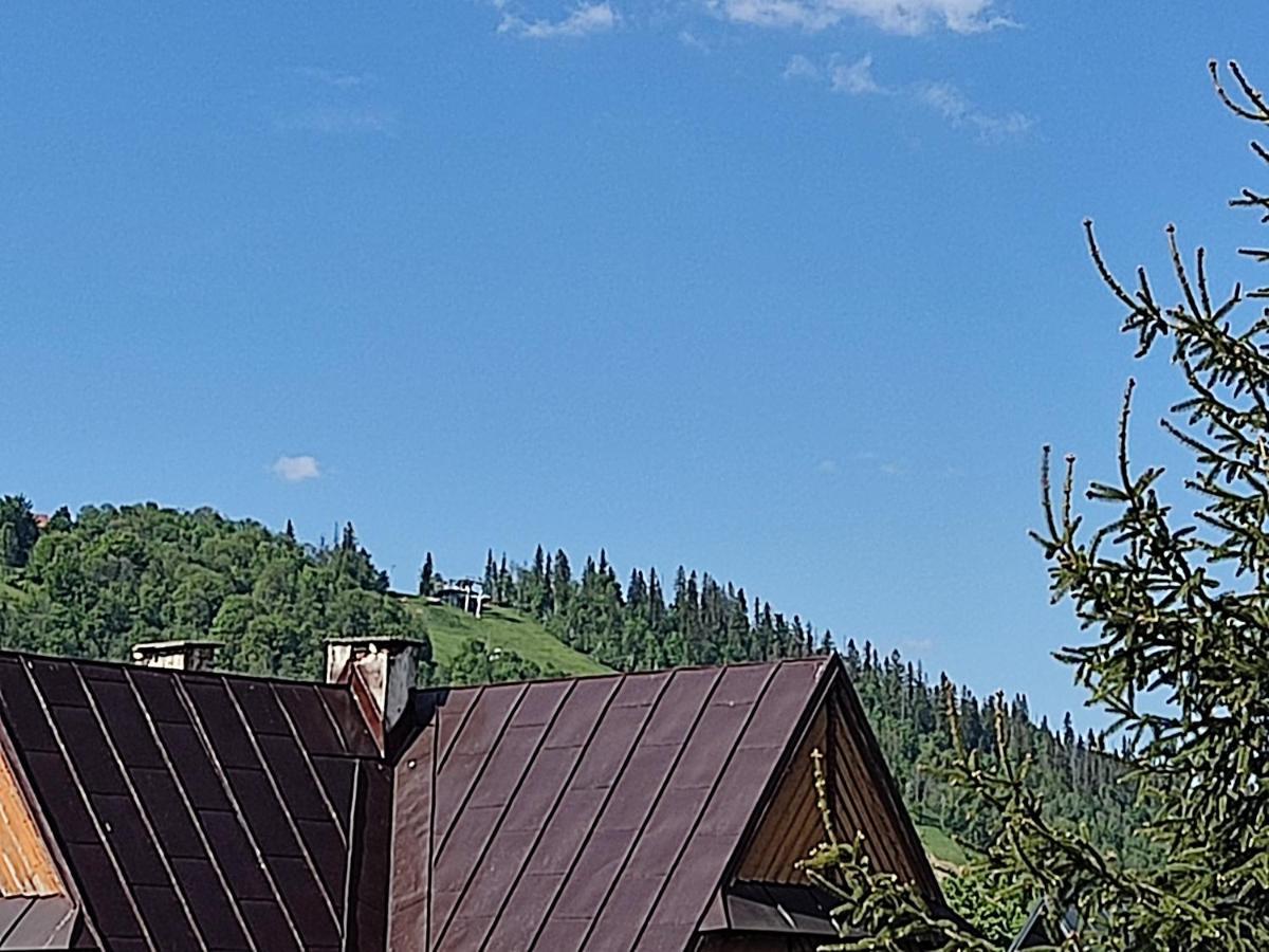 Willa Seba Zakopane Eksteriør bilde